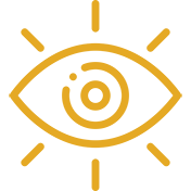 VISION